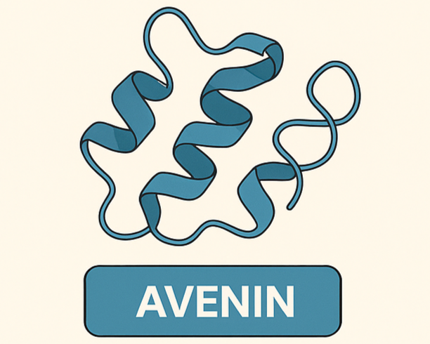 Avenin im Hafer erklärt – und was es für dich bedeutet